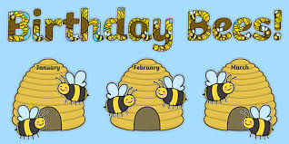 Birthday Bees Display Pack