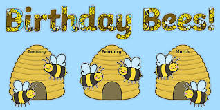 birthday bees display pack