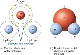 Water A Level Notes Water Molecule Teaching Chemistry Hydrogen Atom