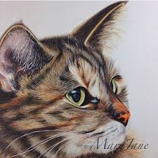 Was watching 'the cat returns' & felt like drawing some cats. Pin On Colored Pencil Cat Drawing