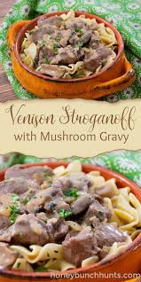Creamy Venison Stroganoff With Mushroom Gravy And Egg Noodles In 2020 Venison And Noodles Recipe Venison Recipes Comfort Food Recipes Dinners