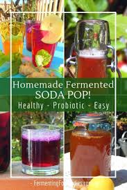 homemade fermented soda pop
