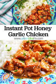 Instant Pot Honey Garlic Chicken Recipe Honey Garlic Chicken Chicken Recipes Garlic Chicken