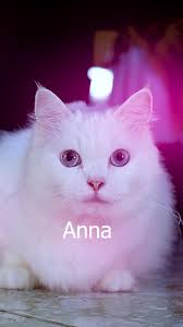 Anna