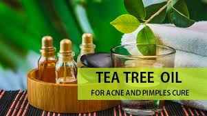 Signs and symptoms of acne red welts and yellow pustules, causes by environmental exposure to bacteria dirt and hormonal imbalances. How To Use Tea Tree Oil For Pimples Acne Scars Marks