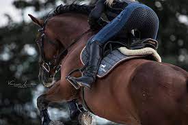 Wesley schultz from lumineers on 'stubborn love' appearing on obamas potus playlist. Michelle Buchholtz Shared A Post On Instagram Lieblingshosen Anzeige Letzte Woche Habe Ich Euch Meine Lieblingsteile Riding Helmets Horse Rider Riding