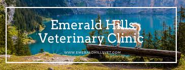The staff at broward animal hospital of hollywood, fl has over 87 years combined experience in the veterinary field. Emerald Hills Veterinary Clinic Home Facebook