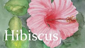 Cara gampang melukis pemandangan alam menggunakan cat akrilik / acrylic painting. How To Draw Flower Hibiscus Cara Menggambar Bunga Raya Oil Pastel Tutorial Youtube