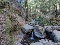 Are there any mini waterfalls in uvas canyon? Bay Area Hiker Uvas Canyon County Park
