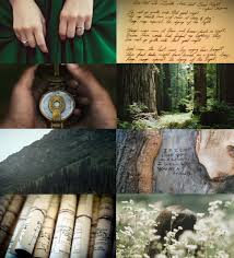 · what do you dislike? That S My Aesthetic