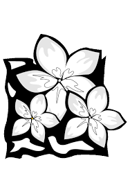 You can use our amazing online tool to color and edit the following hawaiian flower coloring pages printable. 41 Best Ideas For Coloring Coloring Pages Tropical Flowers