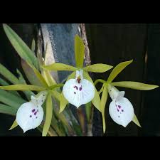 Check spelling or type a new query. Tampensis Hashtag On Twitter