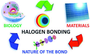 Halogen — u got that 03:12. Halogen Bonding For Molecular Recognition New Developments In Materials And Biological Sciences Chemical Communications Rsc Publishing