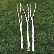 Birch Branches For Sale Near Me Three White Birch Branched Poles 7ft Birch Branches Birch Tree Decor Interior Design Masters