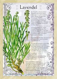 Www Facebook Com More About Health Can Be Found On Interesting Thing Health Interestingthing Wwwfacebookco In 2020 Medicinal Herbs Herbs Healing Plants