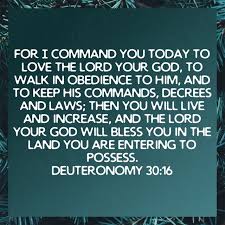 Pin On Bible Verses