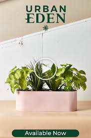 Cuisine Herb Garden Herb Garden In Kitchen Succulent Garden Outdoor Kitchen Herbs