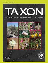 Image result for Campylospermum vogelii