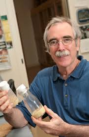 The Math That Tells Cells What They Are