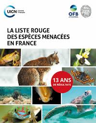 We did not find results for: Francia Si Scopre Tra I Paesi Piu Colpiti Da Perdita Di Biodiversita