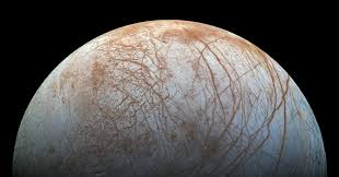 Roots, which give plants the ability to have strength to grow on the rocky planet. Life On Other Planets Feature Chemistry World