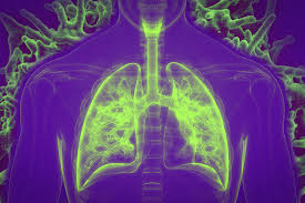 Which four body systems interact to allow a person to sneeze? Covid 19 Aimbe