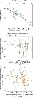 Most of the soluble reserves of organic molecules, sugars, organic. Evaluating The Kinetic Basis Of Plant Growth From Organs To Ecosystems Michaletz 2018 New Phytologist Wiley Online Library