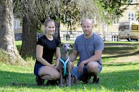 Vinttikoirat olivat vauhdissa viikonloppuna - Suonenjoella juostiin  vinttikoirien maastomestaruudet | Paikalliset | Paikallislehti Sisä-Savo