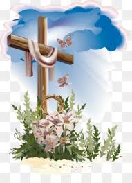 The original size of the image is 1677 × 2400 px and the original resolution is 300 dpi. Cross Flower Png And Cross Flower Transparent Clipart Free Download Cleanpng Kisspng