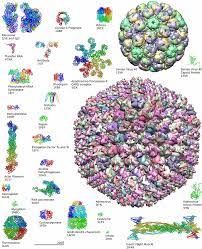 Biochemistry Wikipedia