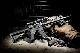 FIREARM