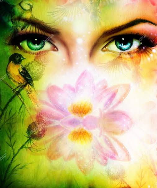 Resultado de imagen para hermosos pajaros de colores