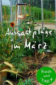 Aussaatplane Im Marz Jetzt Kannst Du Fast Jedes Gemuse Anbauen Schaue Dir Meine Vorschlage An Aussaatp Garten Anpflanzen Gemuse Anbauen Gemusegarten Anlegen
