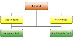 Organisation Chart People About St Pauls Co