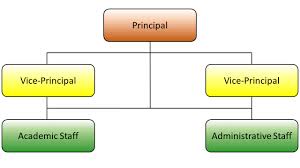 Organisation Chart People About St Pauls Co