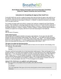 Chart Audit Form Fill Online Printable Fillable Blank