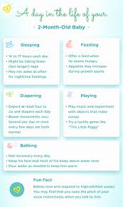 Child Development Stages Chart Unique Pampers Nappy And