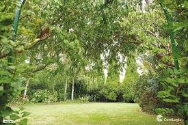 They live together in a $12 million house in toorak with a black pug, big. Inside The Former Marital Home Of Nathan And Tania Buckley Following Their Shock Split Daily Mail Online