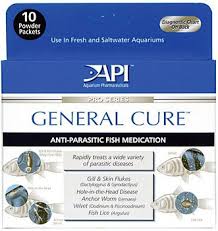 Fish Medication Pets Bond