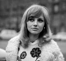 Who is Barbara Nielsen dating? Barbara Nielsen boyfriend, husband