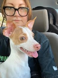 Kitti Wake and Pebble Creek intersection found