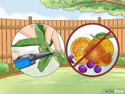 Tips and inspiration to get growing. How To Get Rid Of Skunks 9 Steps With Pictures Wikihow