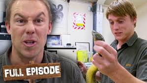 Tim Checks Up On The Local Paddle of Platypus!