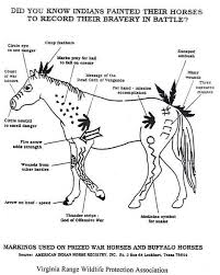 Deciphering Native American Horse War Paint Native