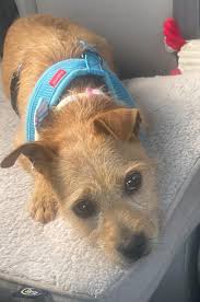 Just found in Raleigh