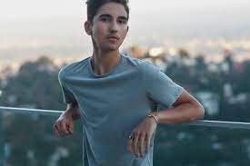 I am a professional ios and mac developer with more than 5 years of experience. Sebastian Dobrincu Knows No Limits From Tech Millionaire To Up And Coming Pop Star Millennium Magazine