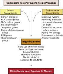 Immune Hypersensitivity Sciencedirect