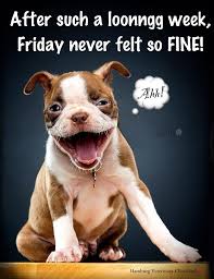 Friday Humor Smile Dog Funny Long Week After Such A Long Week Friday Never Felt So Fine Happy F Its Friday Quotes Friday Quotes Funny Pet Photo Contest