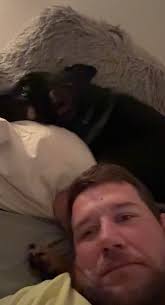 German Shepherd Owners