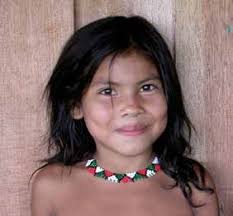 Apprentices of the Forest